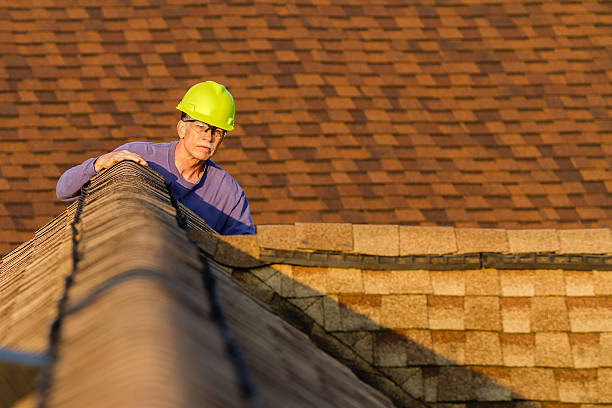Best Roof Inspection Near Me  in Auburn, IL